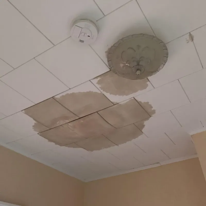 Ceiling Water Damage Repair in Hebron, IL