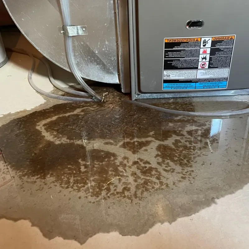 Pipe Burst and Leak Restoration in Hebron, IL