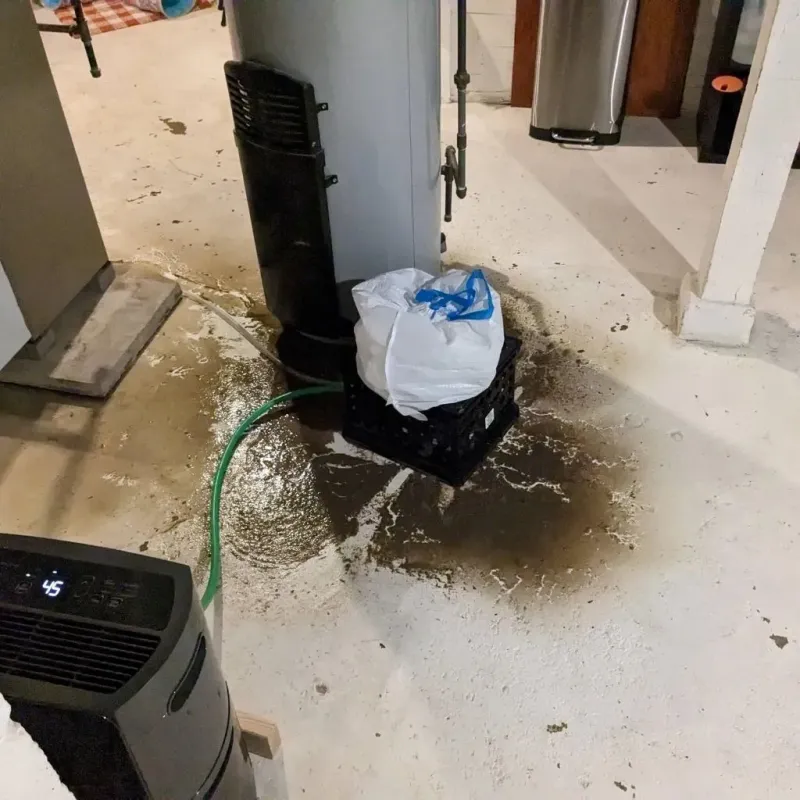 Sewage Backup Cleanup Service in Hebron, IL